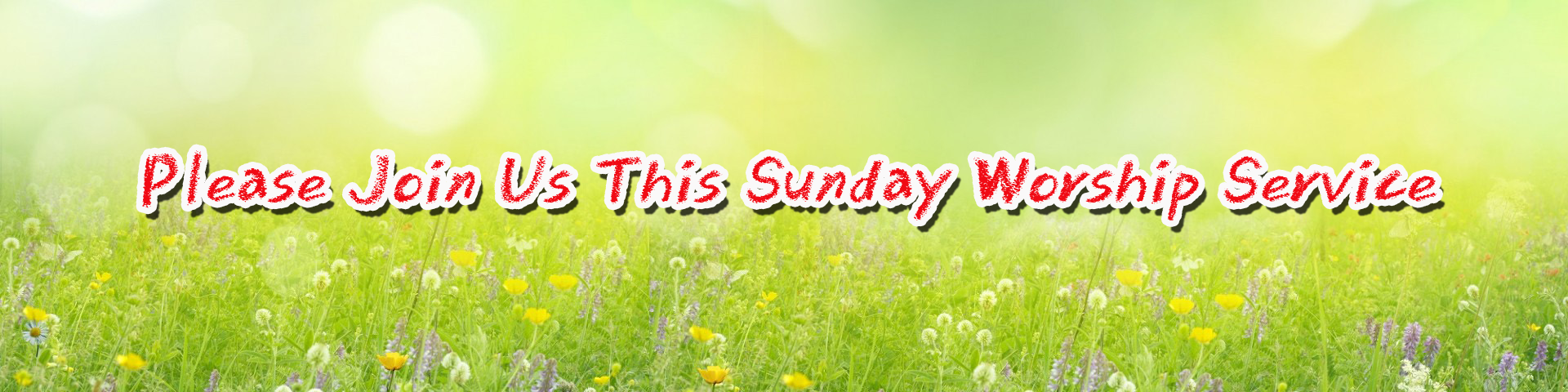 Church Banner 3